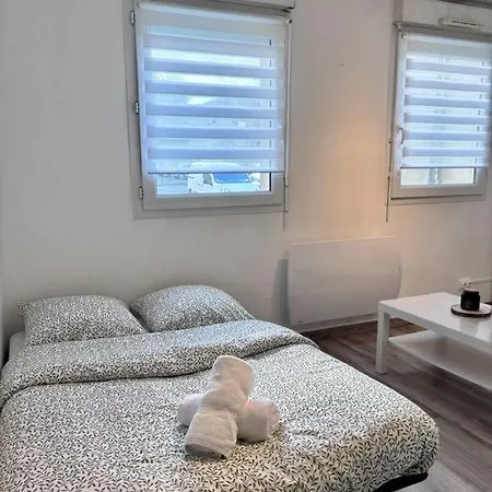 Le Petit Citadin Apartment